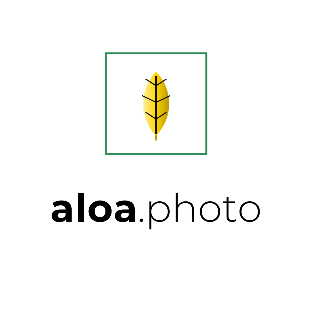 Logo 08 sur fond clair