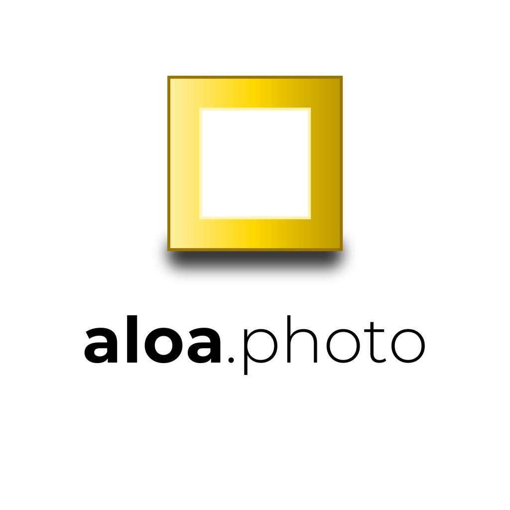 Logo 10 sur fond clair